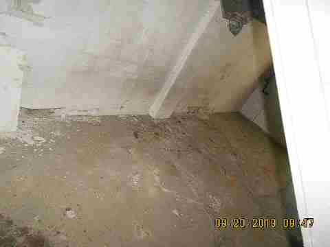 18103 Cardoni (25)_m.jpg